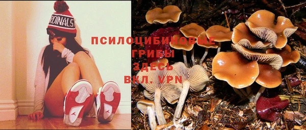 крисы Покров