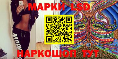 шишки Кингисепп