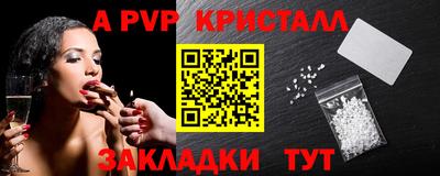 шишки Кингисепп