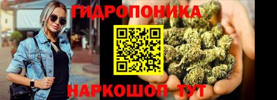 шишки Кингисепп