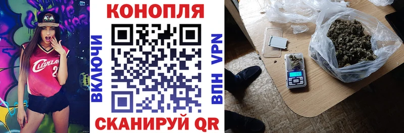 Бошки марихуана ГИДРОПОН  купить наркотики сайты  Саяногорск 